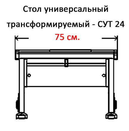 Растущая парта Дэми Parta 1/75 (Сут 24) 